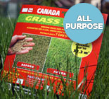 Газонные Травосмеси Канадского производства Канада Грин. CanadaGreen.