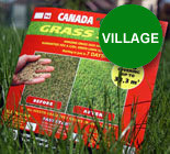 Газонные Травосмеси Канадского производства Канада Грин. CanadaGreen.