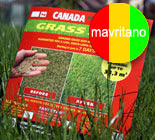 Газонные Травосмеси Канадского производства Канада Грин. CanadaGreen.