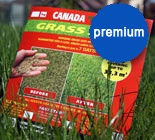 Газонные Травосмеси Канадского производства Канада Грин. CanadaGreen.