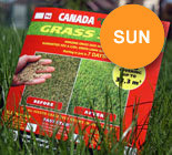 Газонные Травосмеси Канадского производства Канада Грин. CanadaGreen.