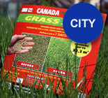 Газонные Травосмеси Канадского производства Канада Грин. CanadaGreen.