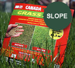 Газонные Травосмеси Канадского производства Канада Грин. CanadaGreen.