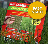 Газонные Травосмеси Канадского производства Канада Грин. CanadaGreen.