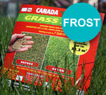 Газонные Травосмеси Канадского производства Канада Грин. CanadaGreen.