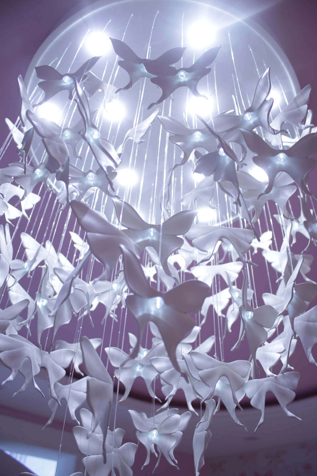 ж.к Бригантина