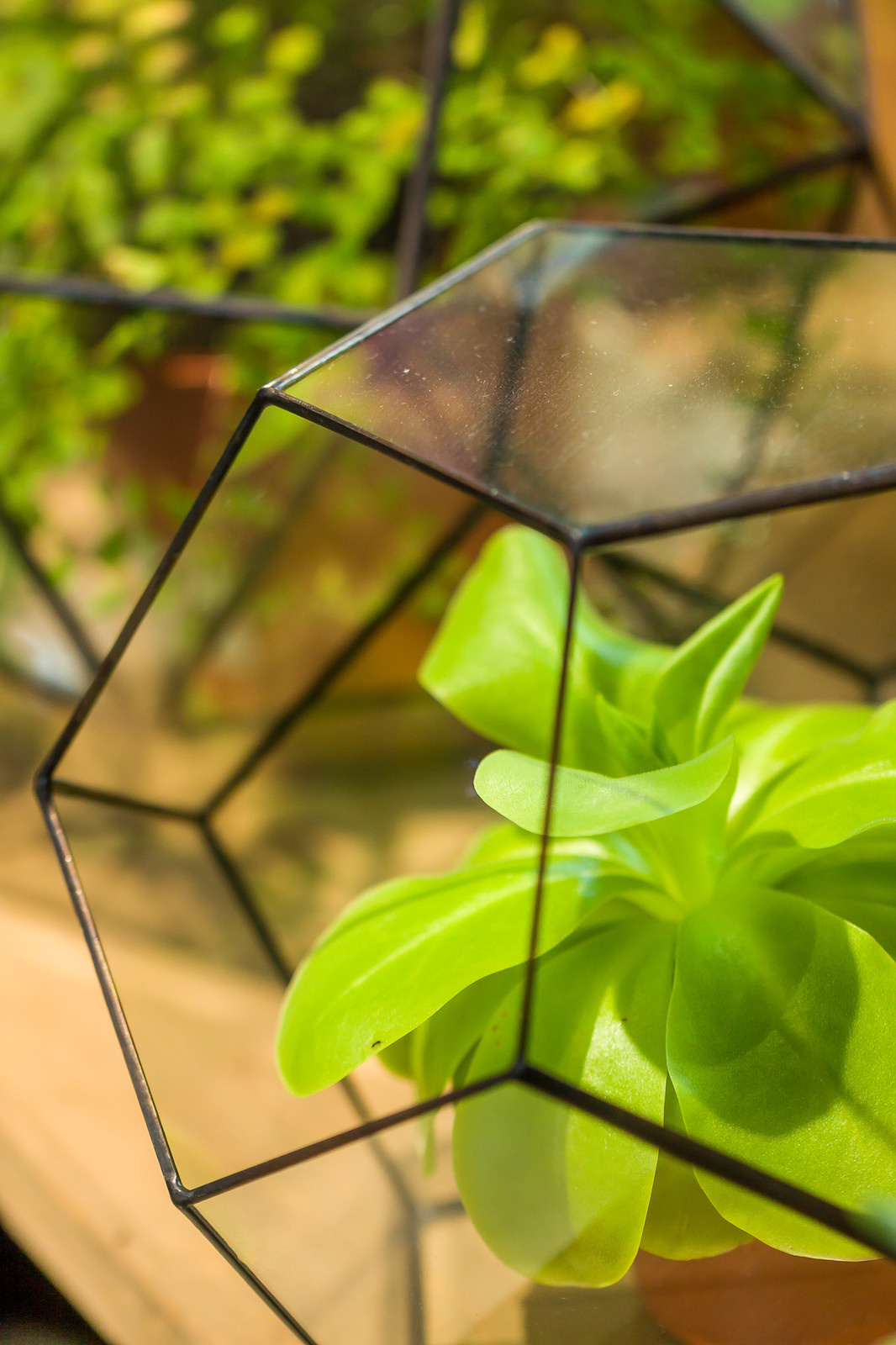 Обложка проекта: Jolly Bunch - shop