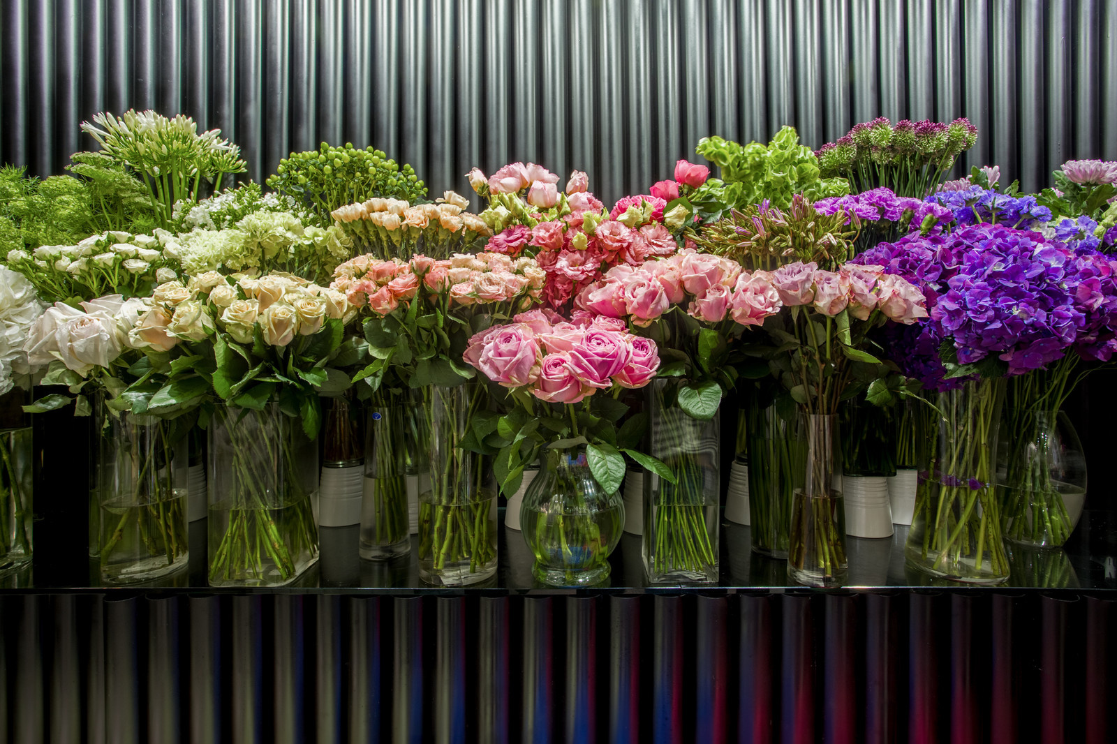 Jolly Bunch - shop Detskiy Mir