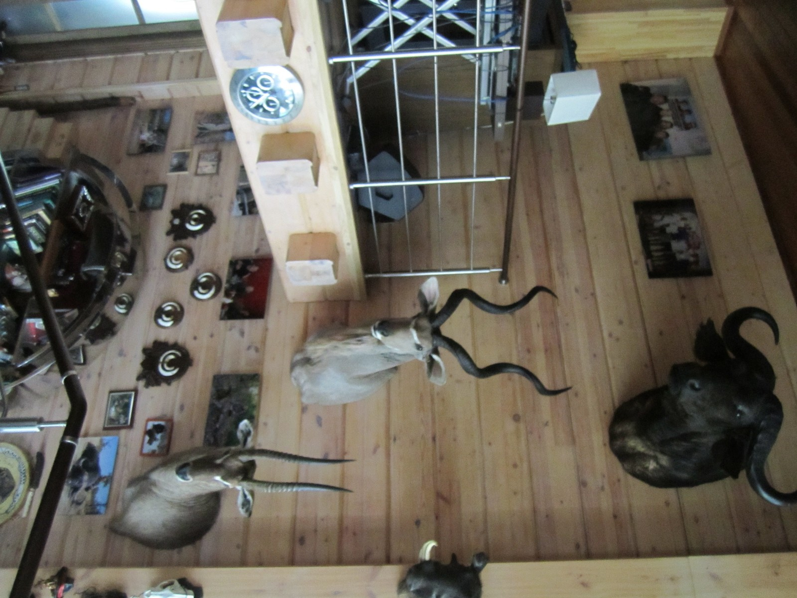 дом на реке