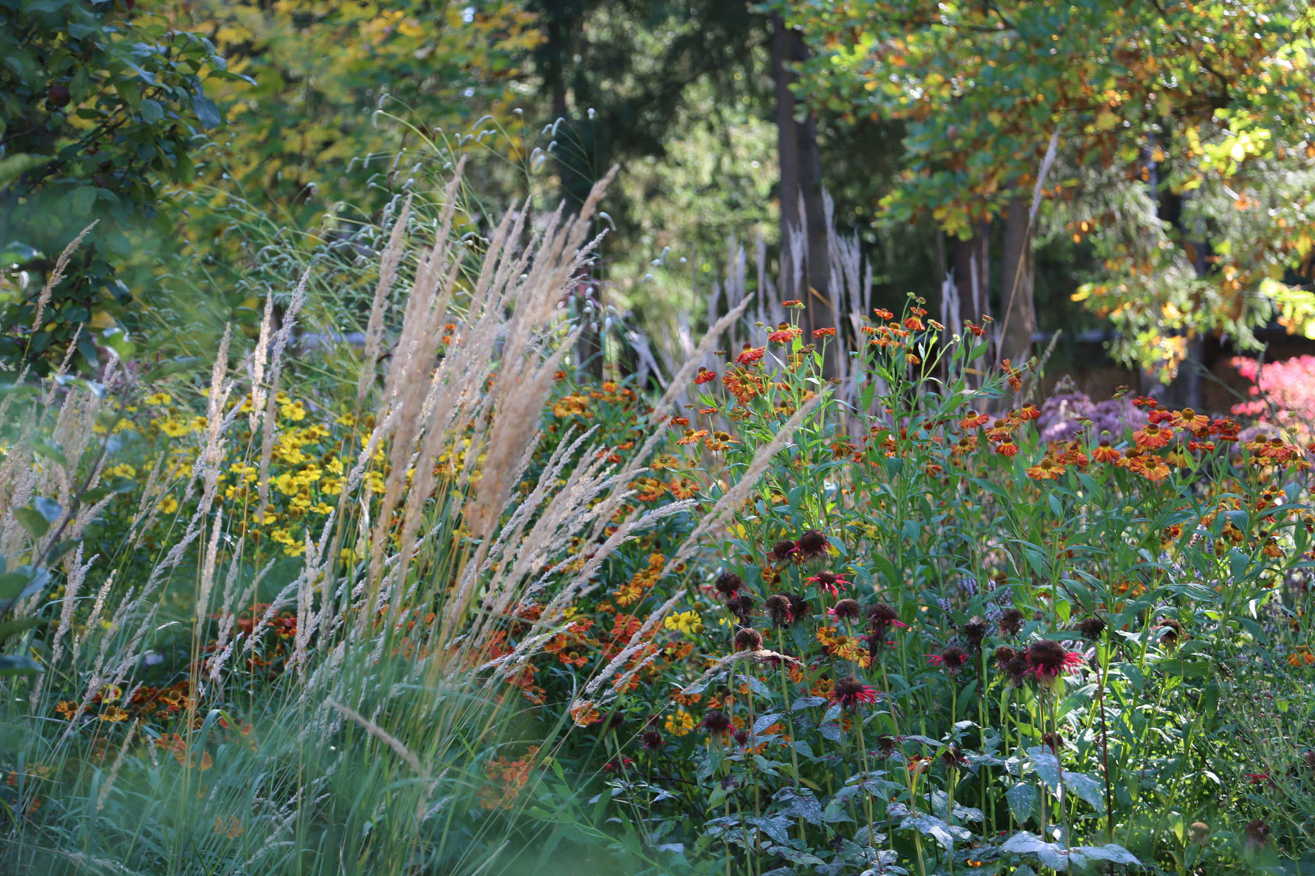 Сад 20 соток: 7 проектов российских ландшафтных дизайнеров