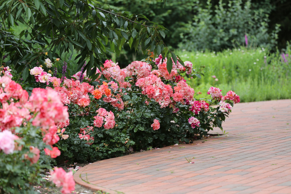 "Садовый абстракционизм"