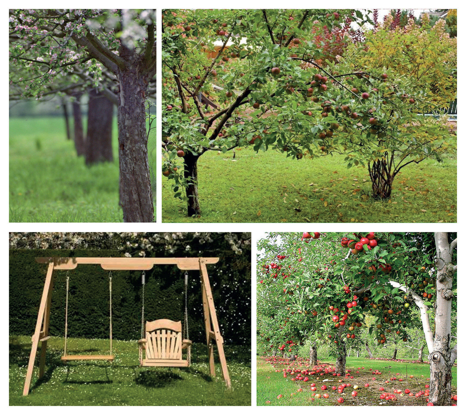 Проект благоустройства, концепция. Клубный поселок "Зеленый Мыс".