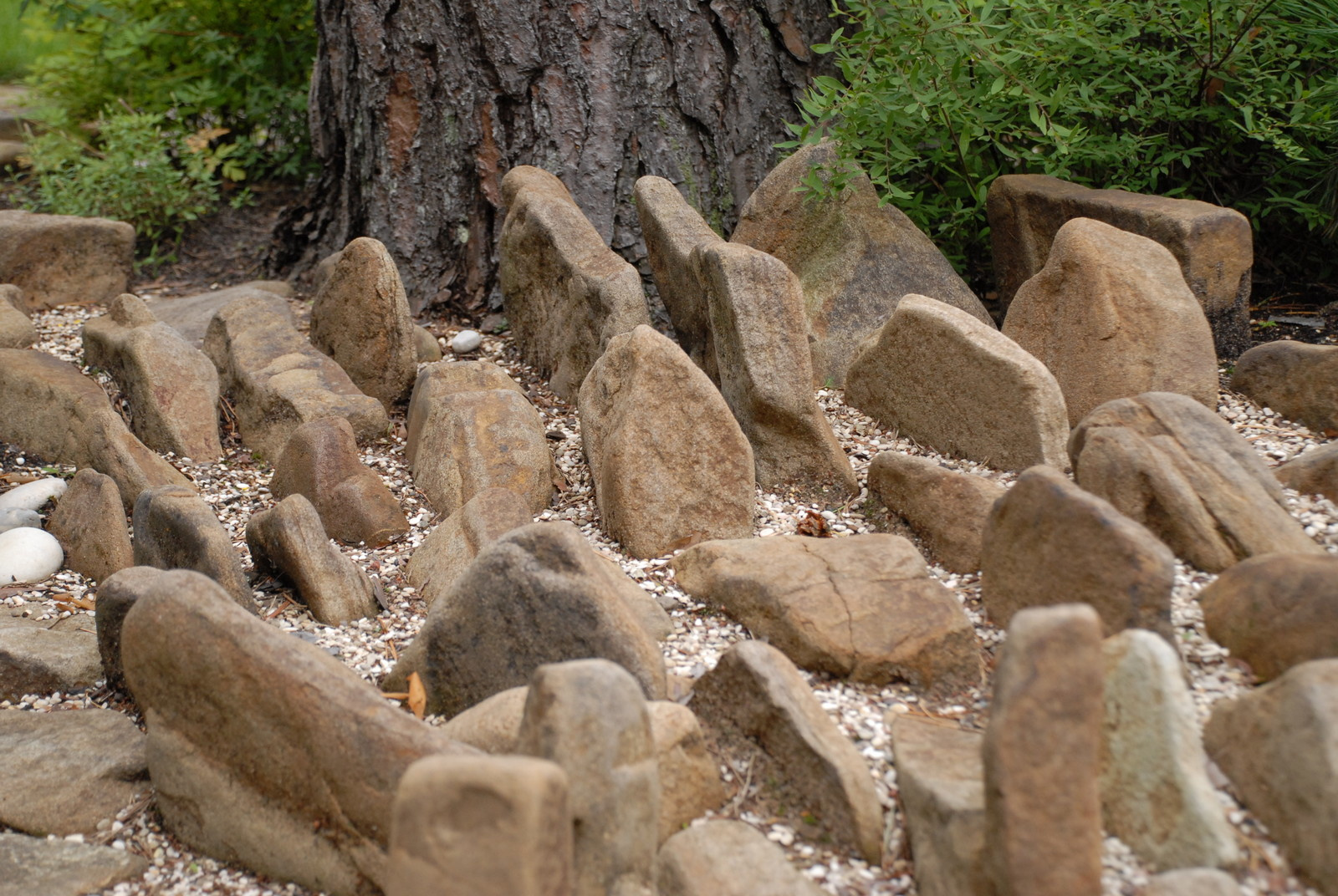 Деталь рокария