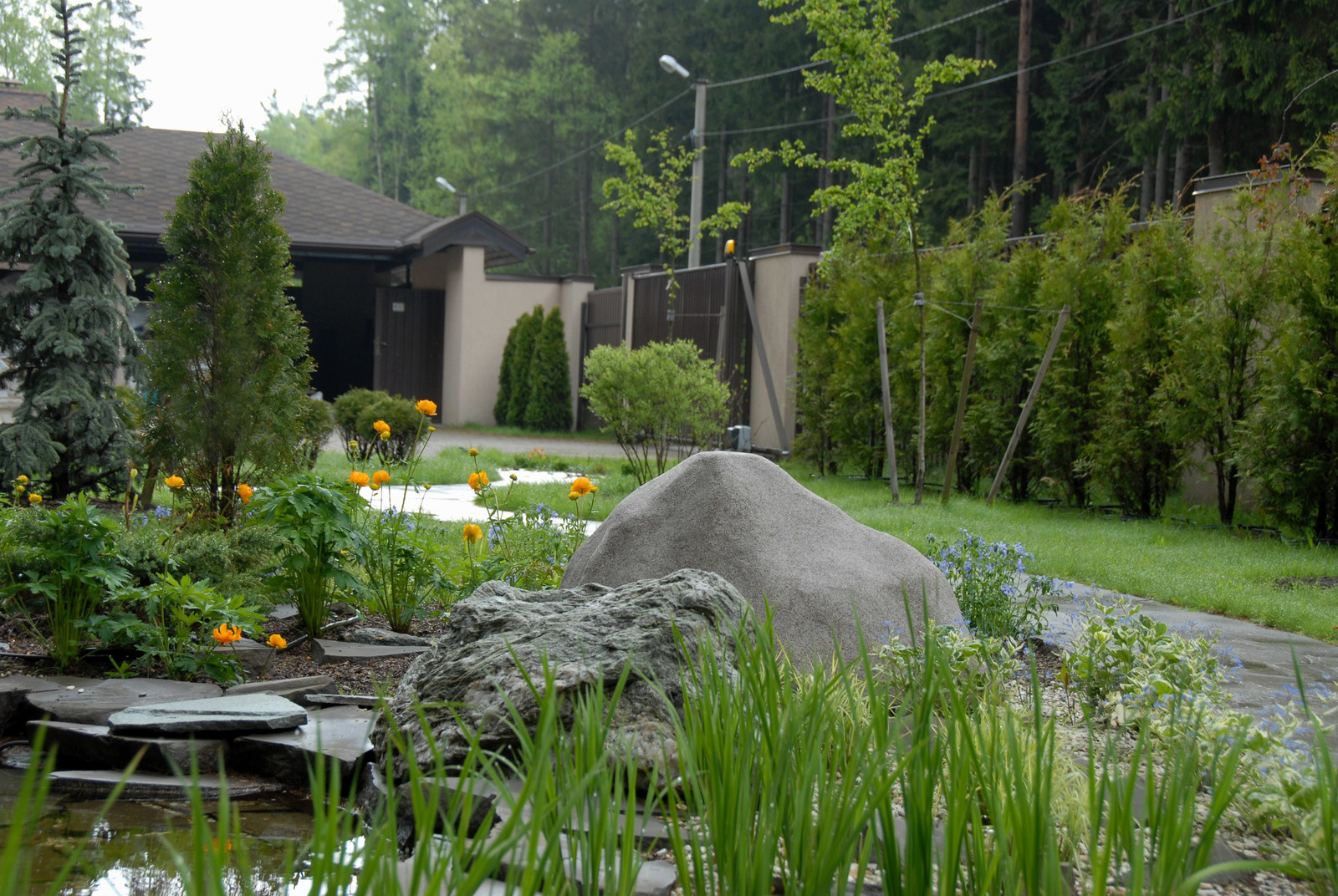 Деталь водоема