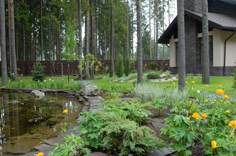 Водоем. Деталь