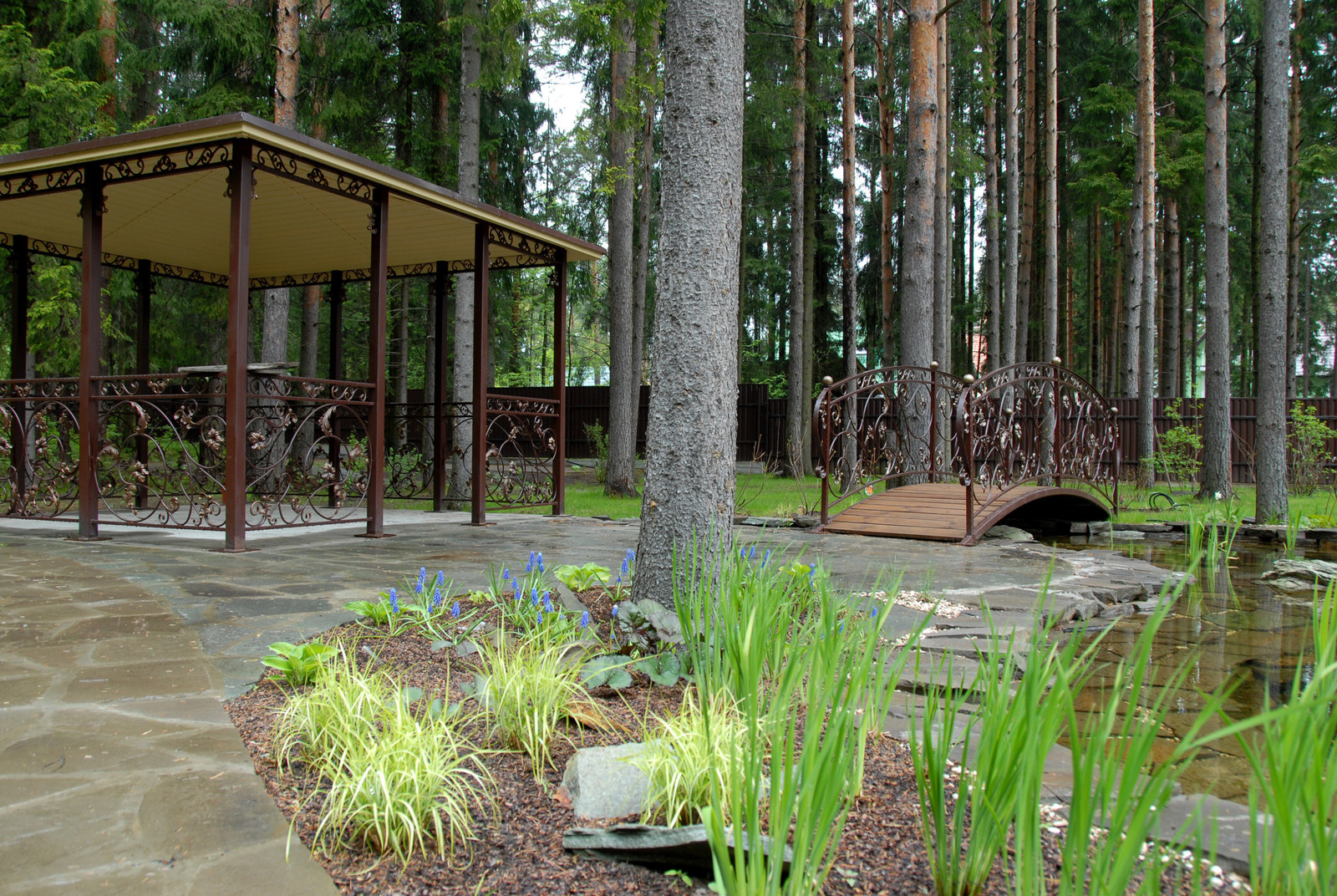 Тенистый участок во Всеволожске со взрослыми елями