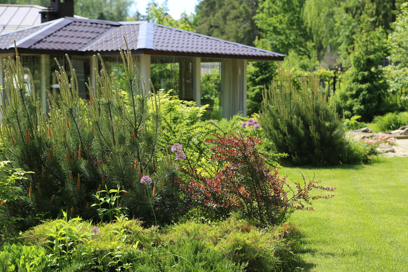 Словно с картины сошедший