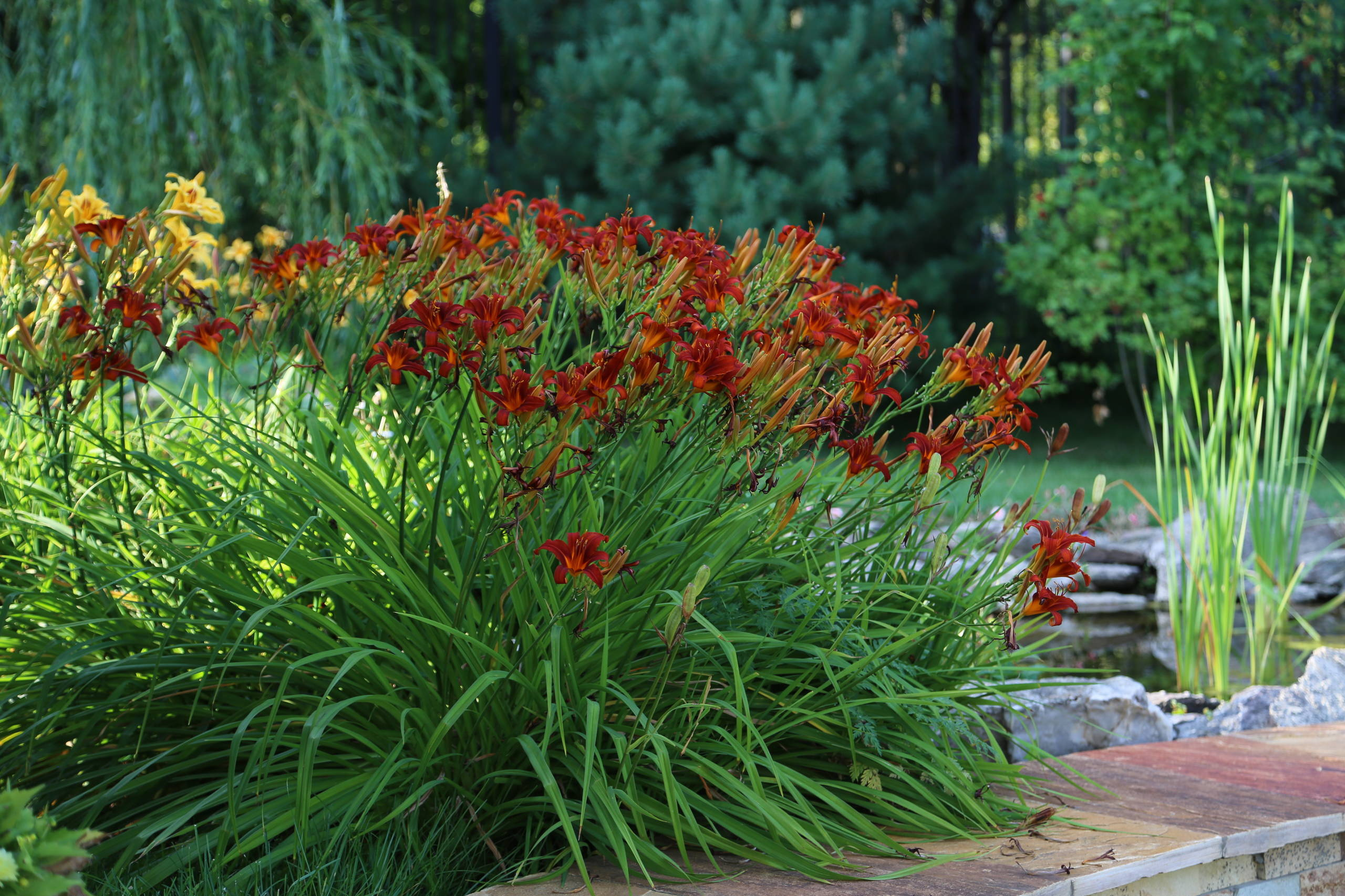 Словно с картины сошедший