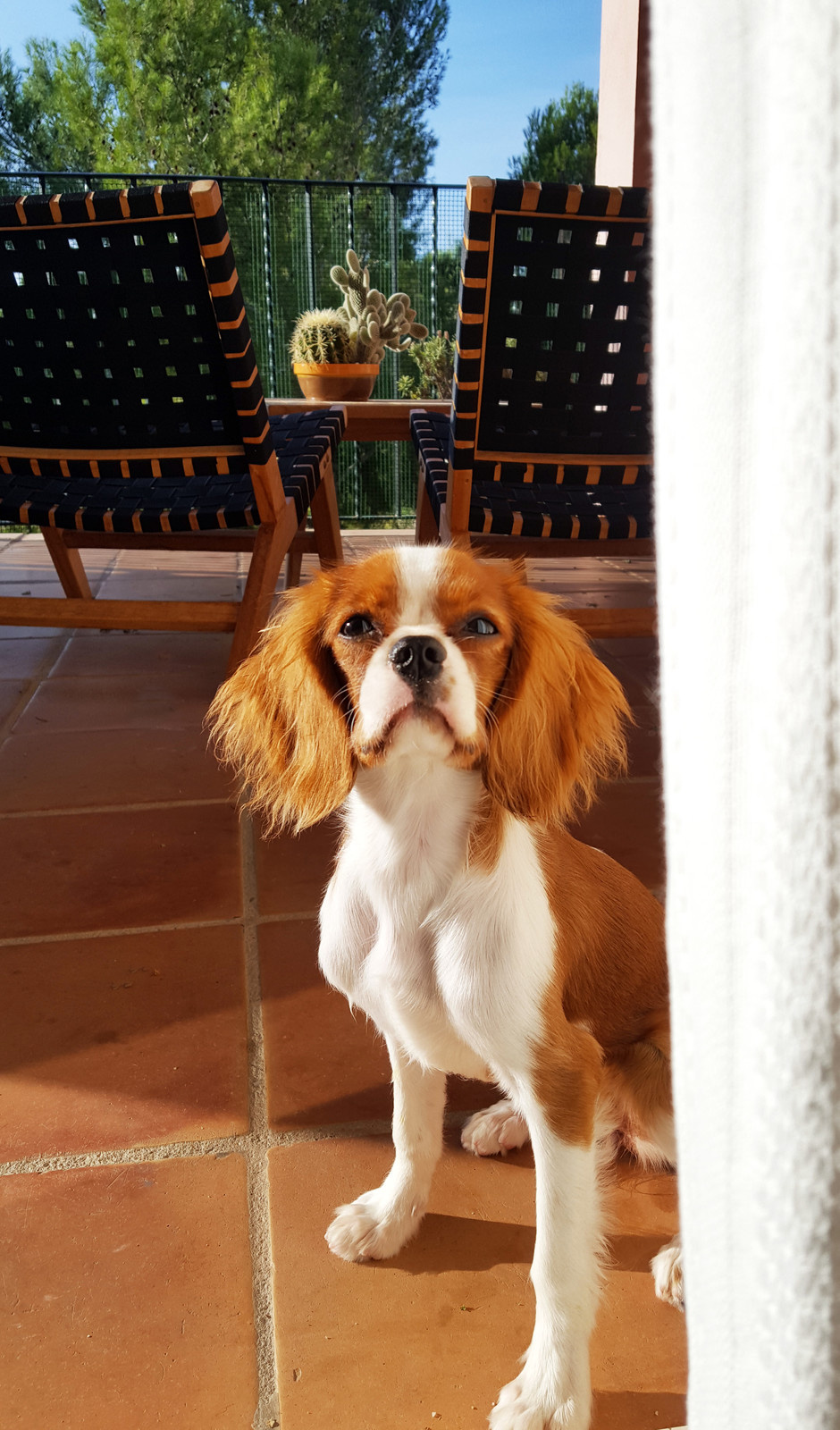 Квартира на Майорке