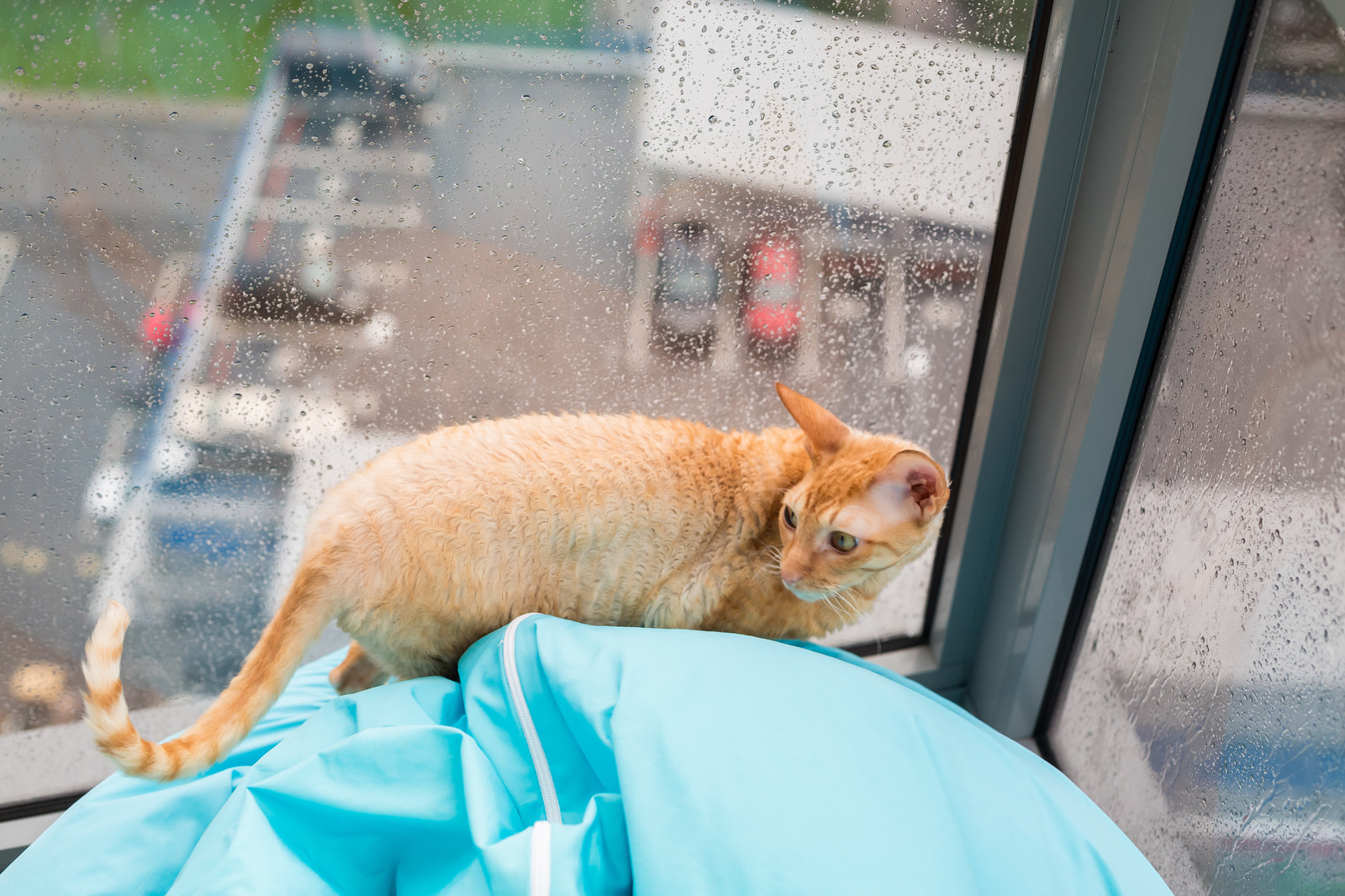 Скандинавия. Каллиграфия. Hygge.