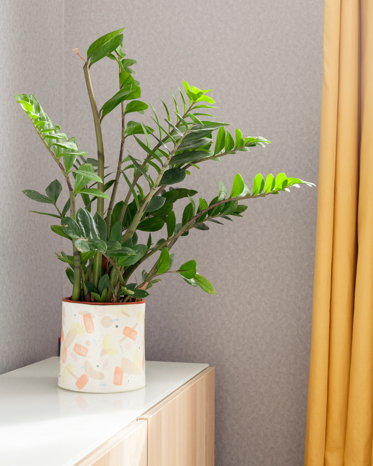 Съемка для HOUZZ