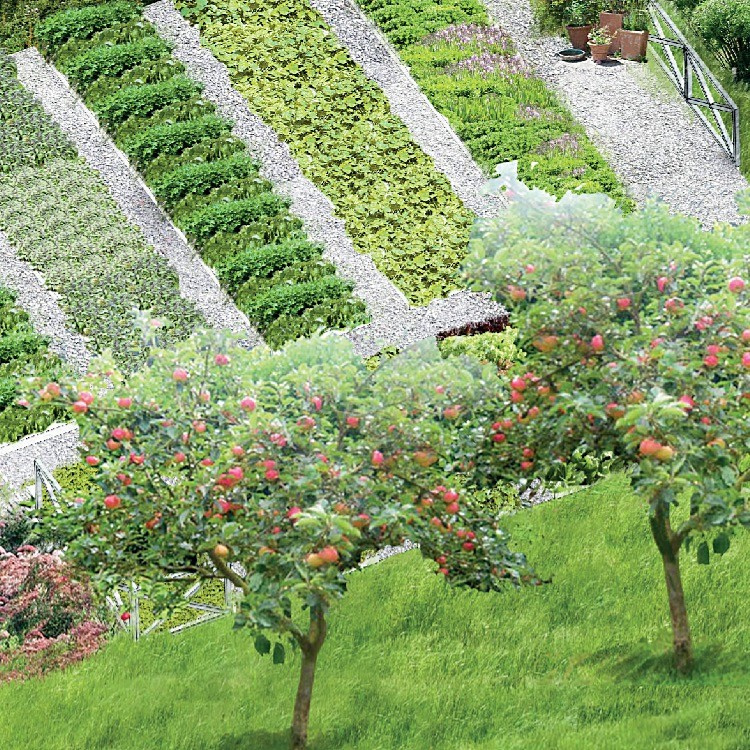 Проект благоустройства, концепция. Клубный поселок "Зеленый Мыс".