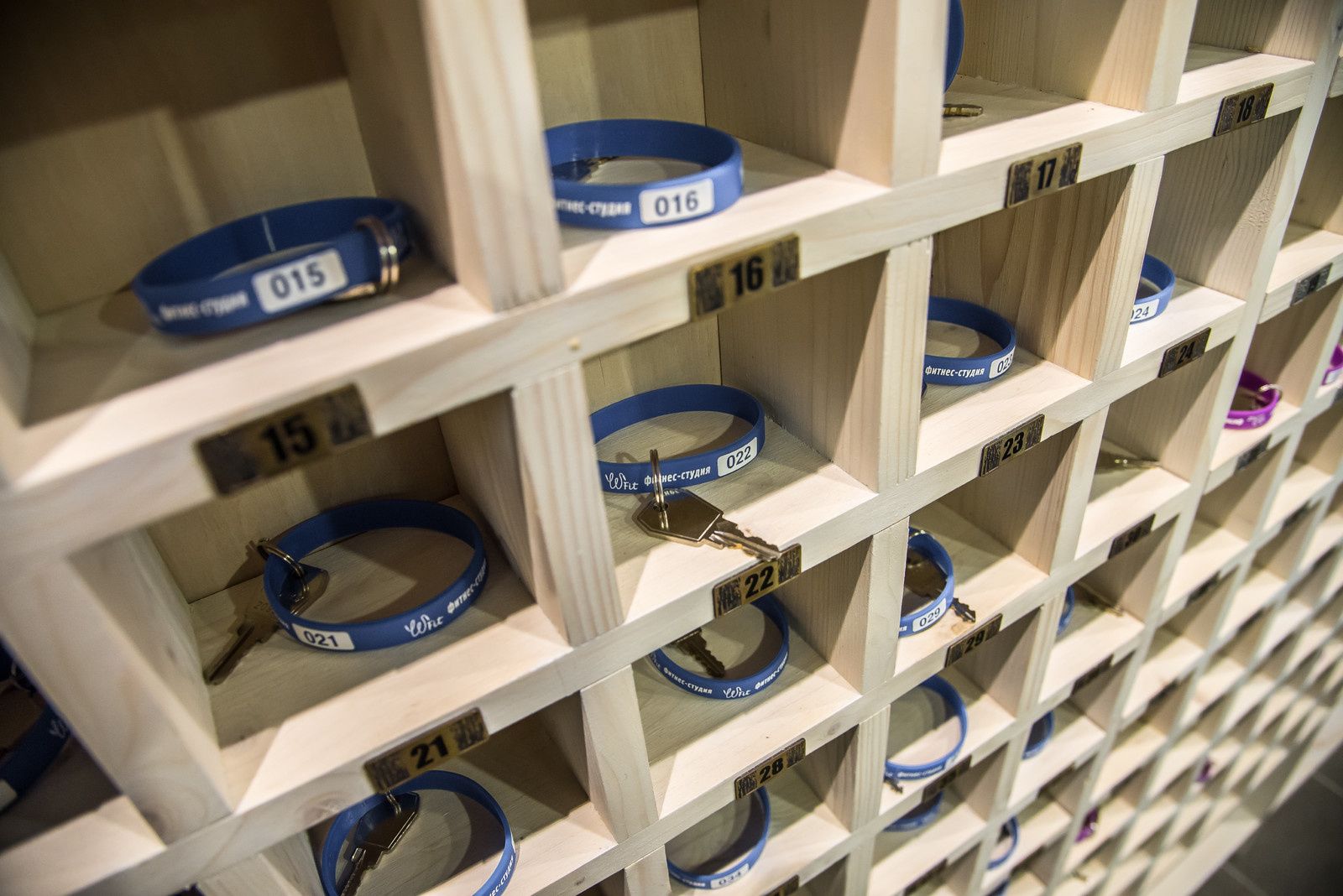 Фитнес-клуб "W-Fit"