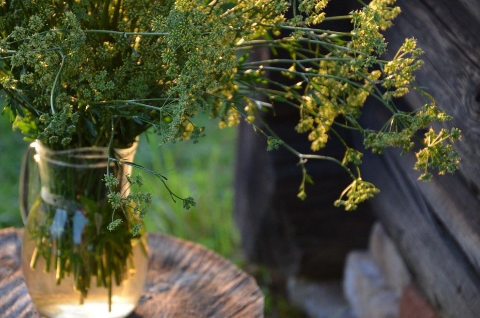 Садовый участок