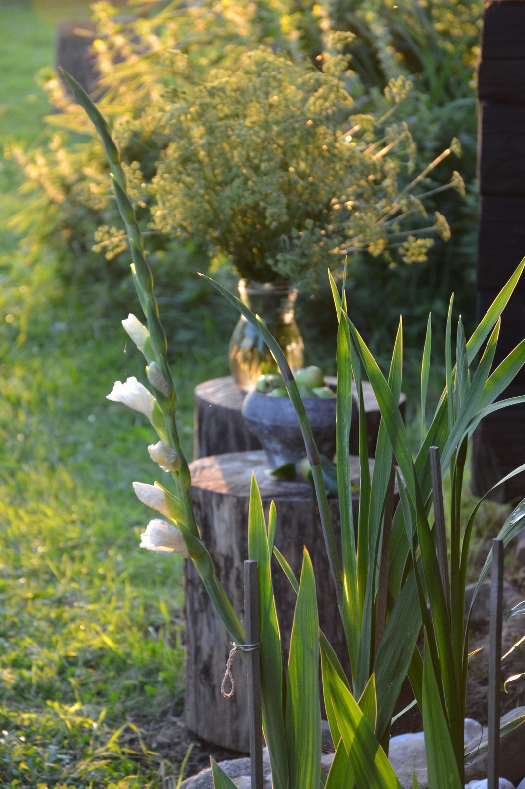 Садовый участок