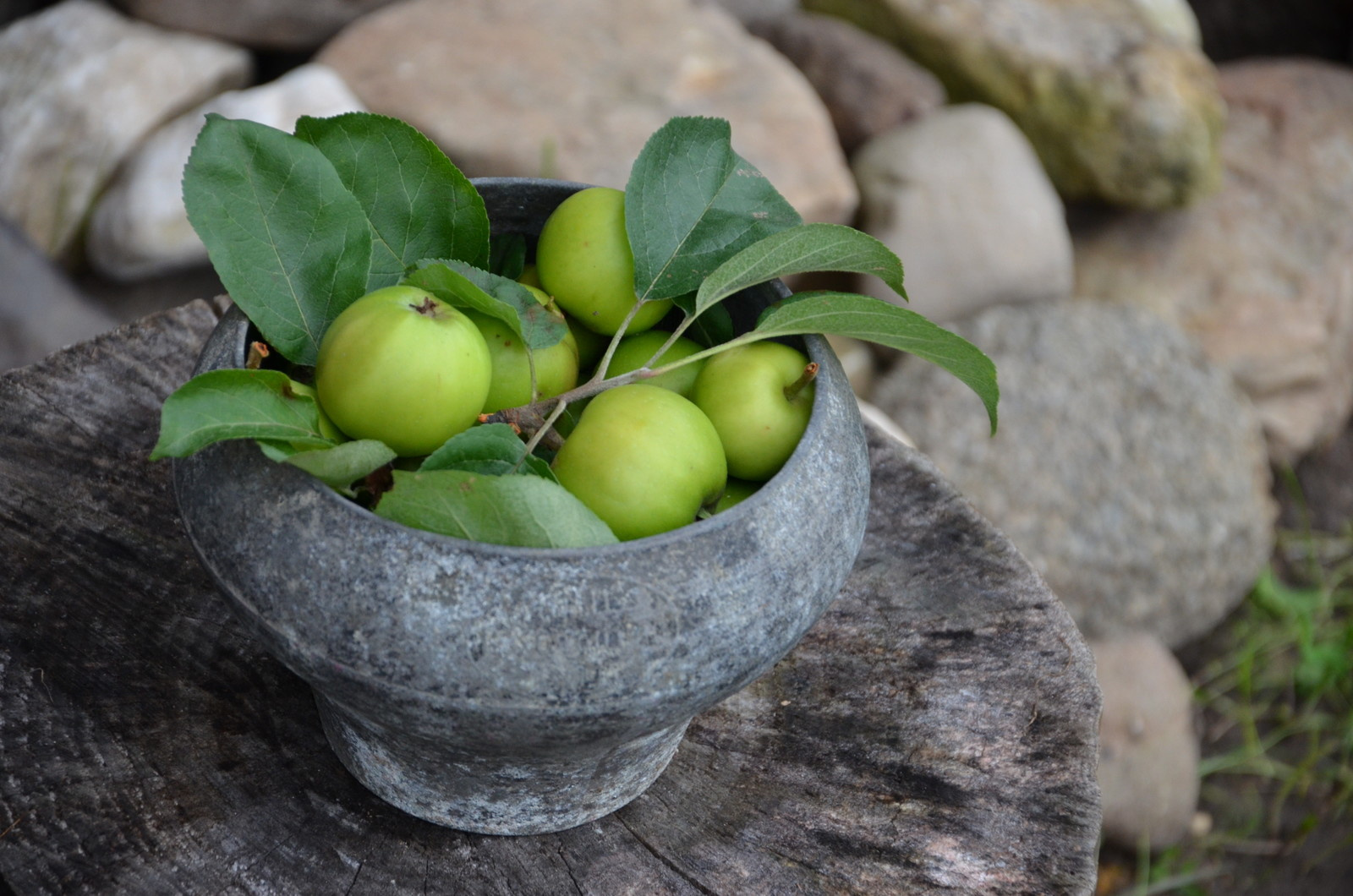 Садовый участок