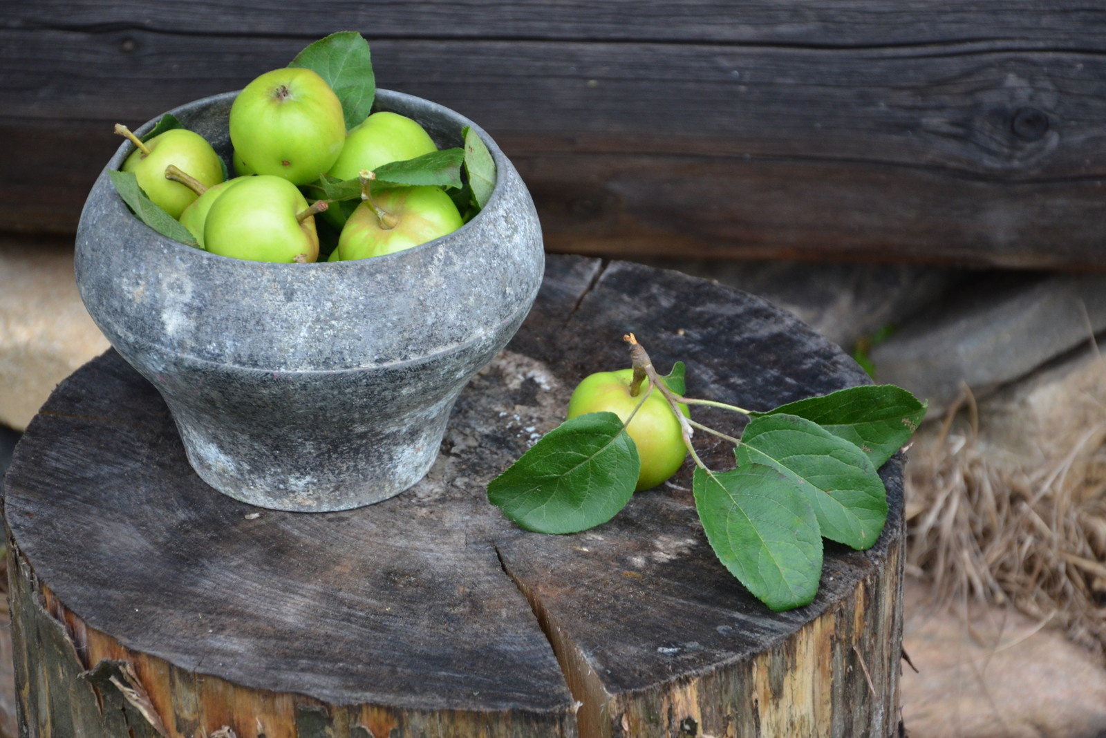 Садовый участок