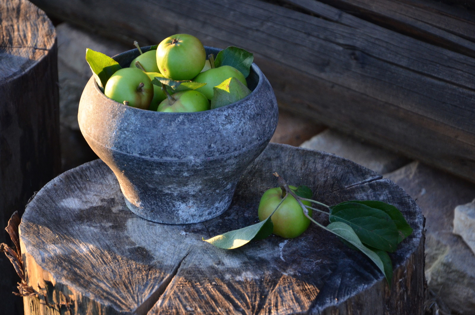 Садовый участок