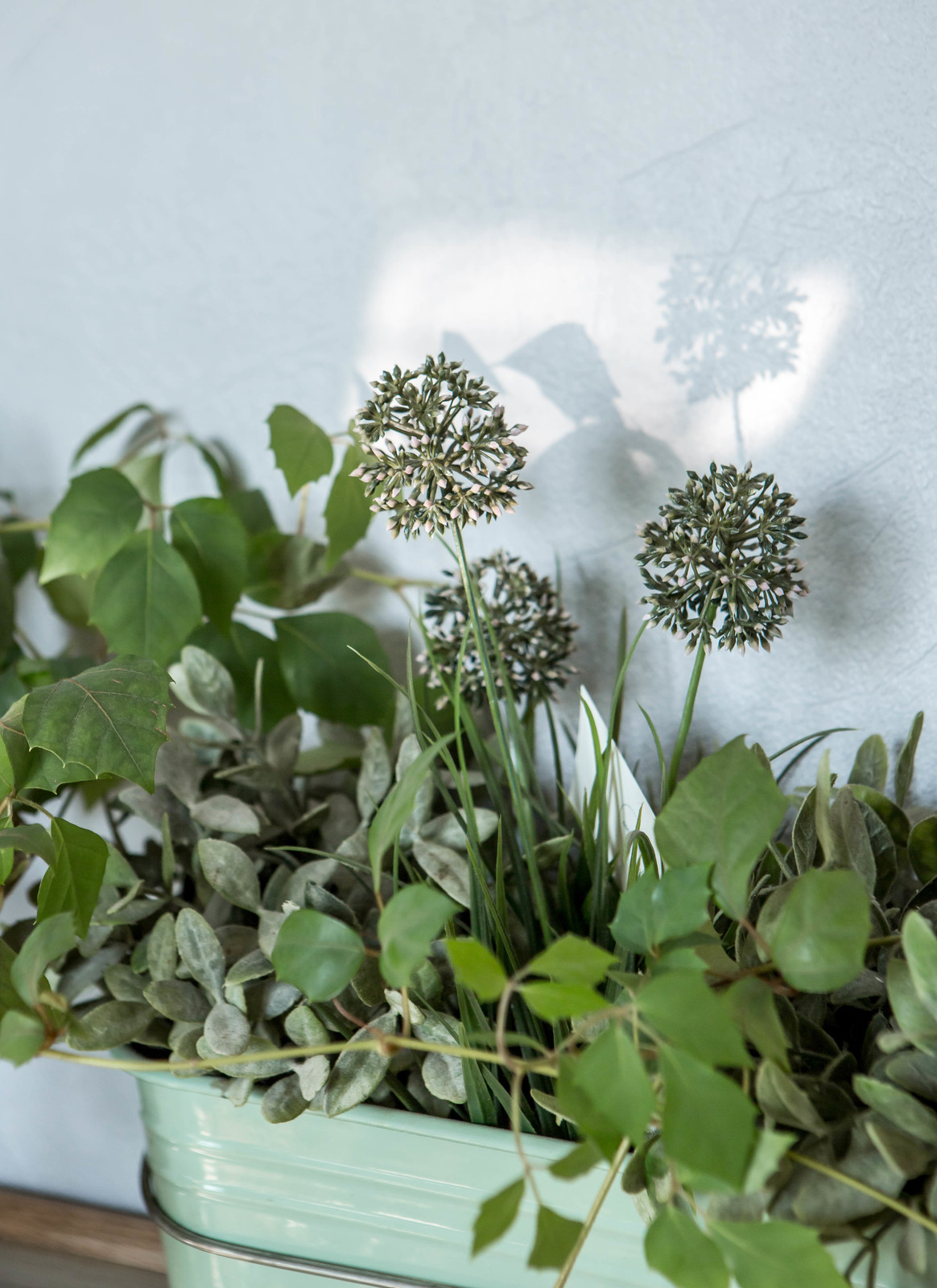 Братиславская для Houzz