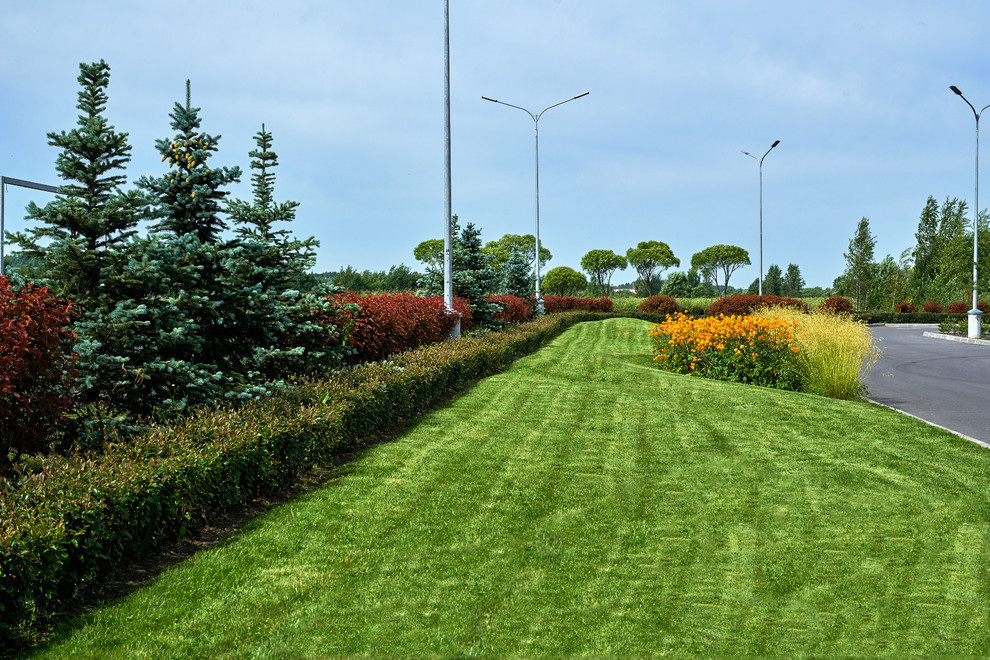 Ряды и Юлмарт на Пулковском шоссе