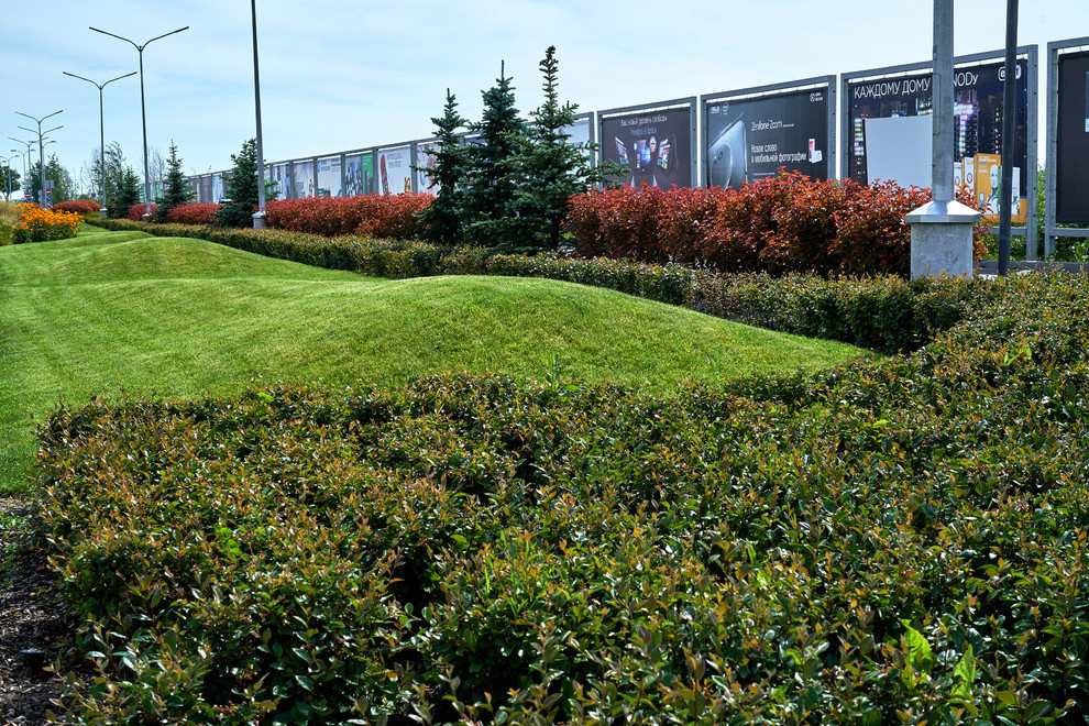 Ряды и Юлмарт на Пулковском шоссе