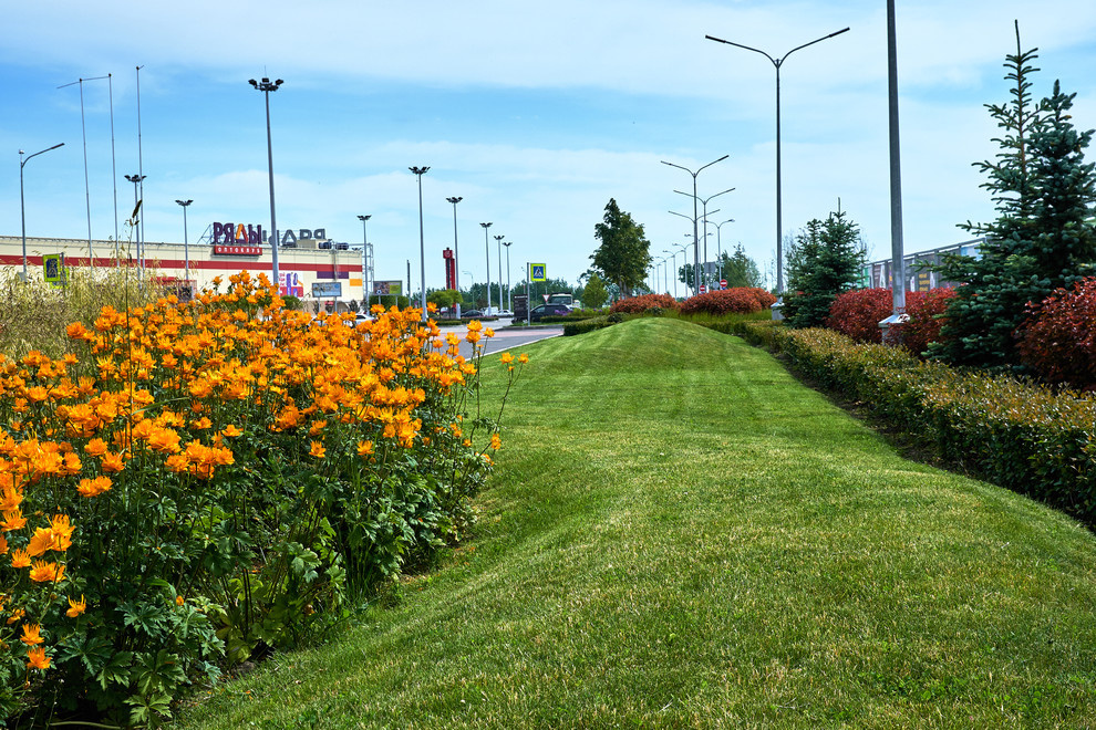 Ряды и Юлмарт на Пулковском шоссе