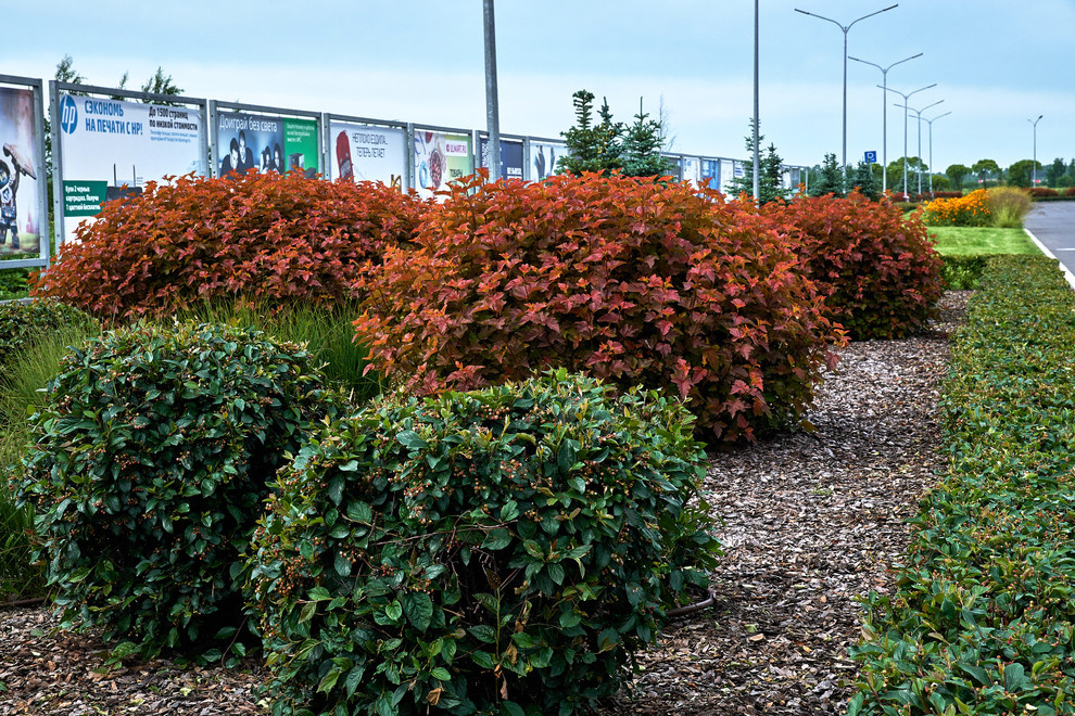 Ряды и Юлмарт на Пулковском шоссе
