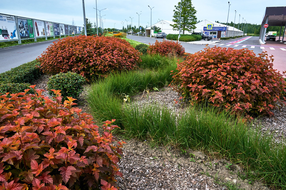 Ряды и Юлмарт на Пулковском шоссе