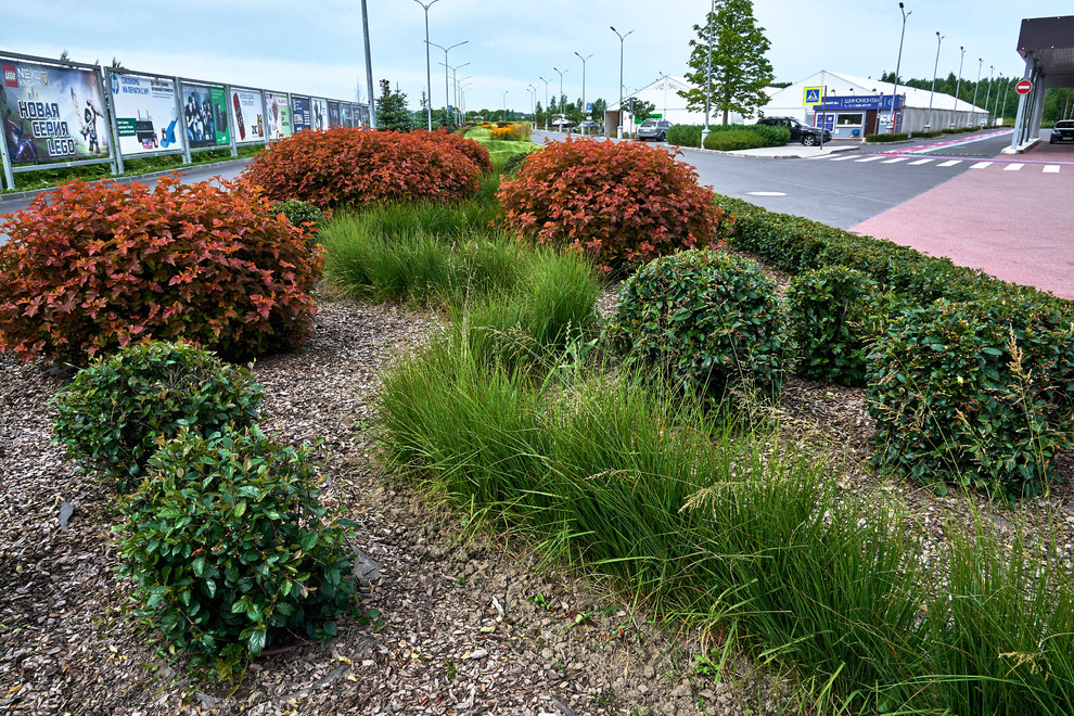 Ряды и Юлмарт на Пулковском шоссе