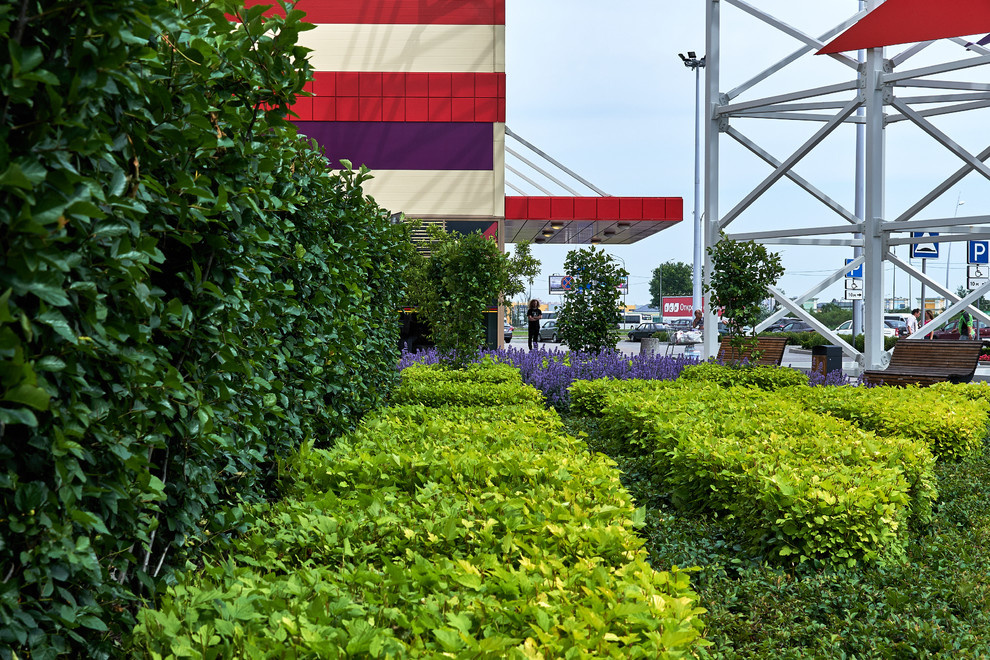 Ряды и Юлмарт на Пулковском шоссе