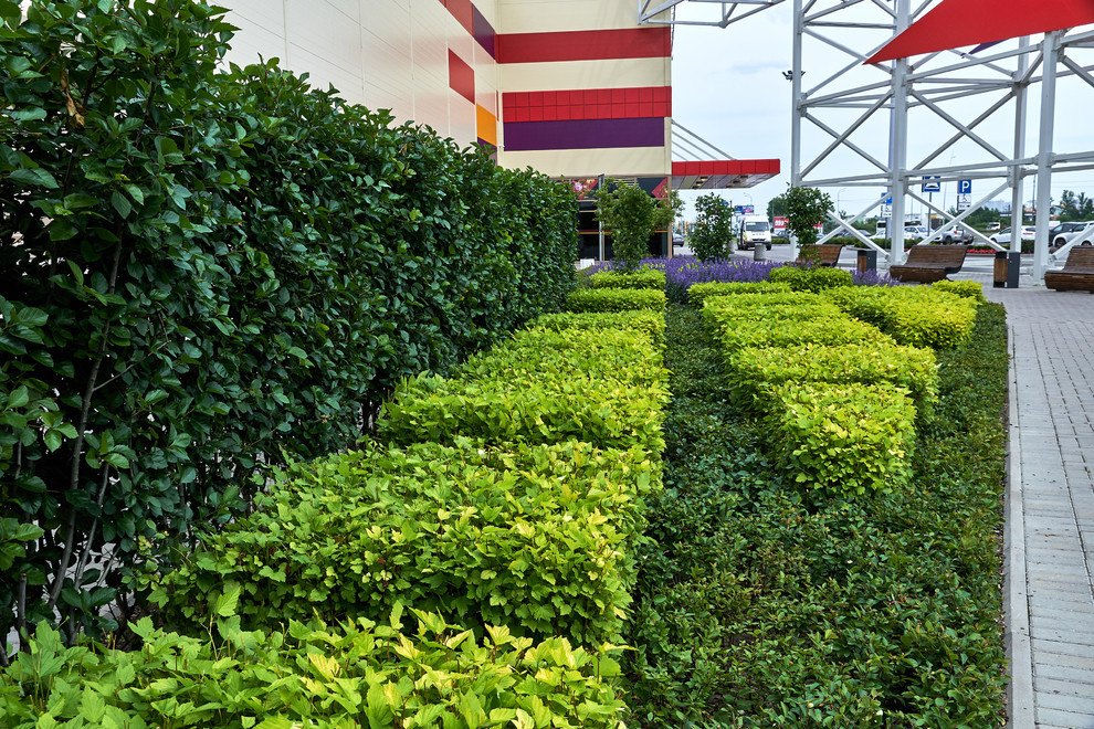 Ряды и Юлмарт на Пулковском шоссе