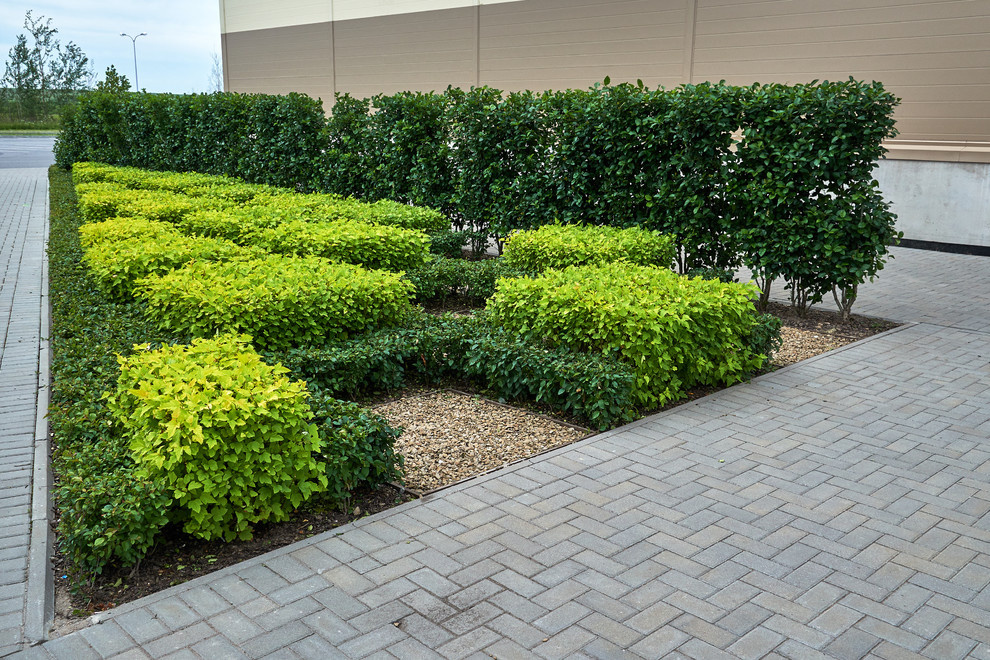 Ряды и Юлмарт на Пулковском шоссе