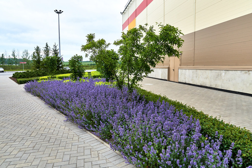 Ряды и Юлмарт на Пулковском шоссе