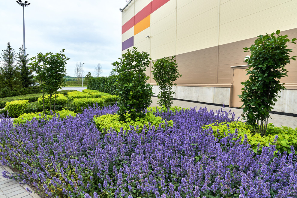 Ряды и Юлмарт на Пулковском шоссе