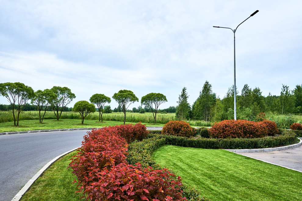 Обложка проекта: Ряды и Юлмарт на Пулковском шоссе