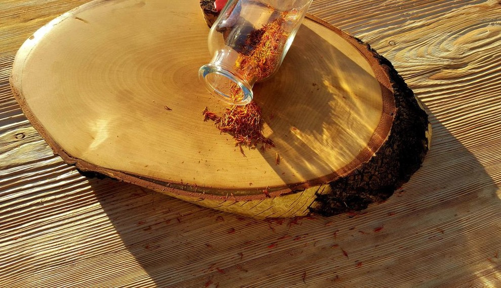 Спилы деревьев: дуб, сосна, ель, береза, можжевельник, тополь, ясень, ольха