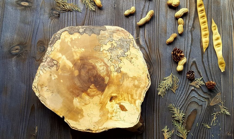 Спилы деревьев: дуб, сосна, ель, береза, можжевельник, тополь, ясень, ольха