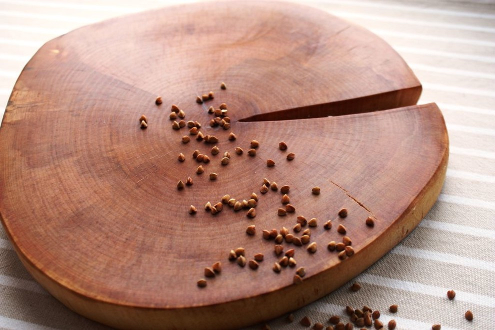 Спилы деревьев: дуб, сосна, ель, береза, можжевельник, тополь, ясень, ольха