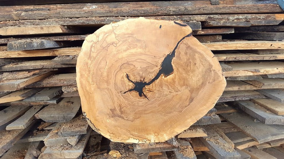 Спилы деревьев: дуб, сосна, ель, береза, можжевельник, тополь, ясень, ольха