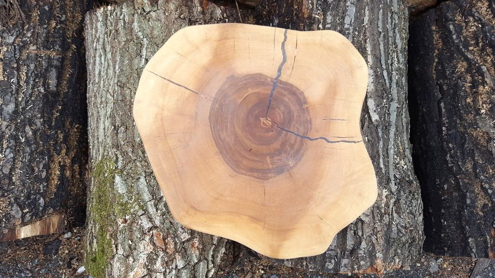 Спилы деревьев: дуб, сосна, ель, береза, можжевельник, тополь, ясень, ольха